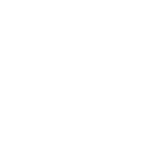 Link & Bikini